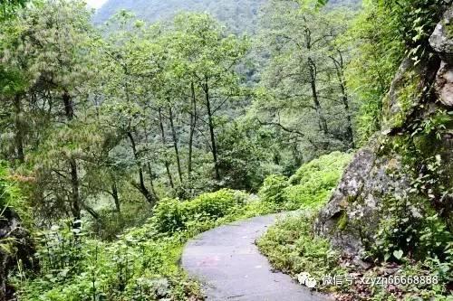 茜杰和莉斯大改造